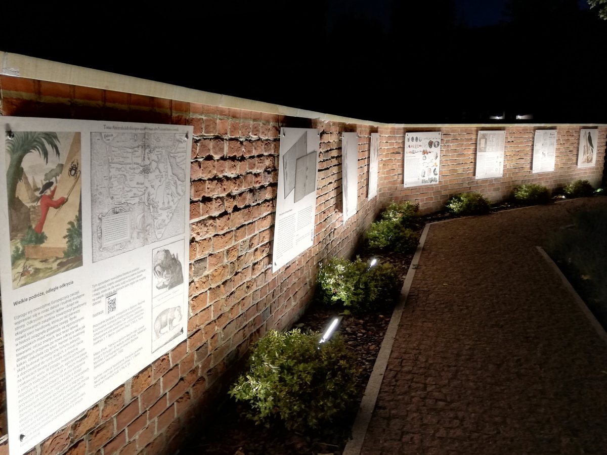 Noc Bibliotek 2021 w Elblągu [ZDJĘCIA]