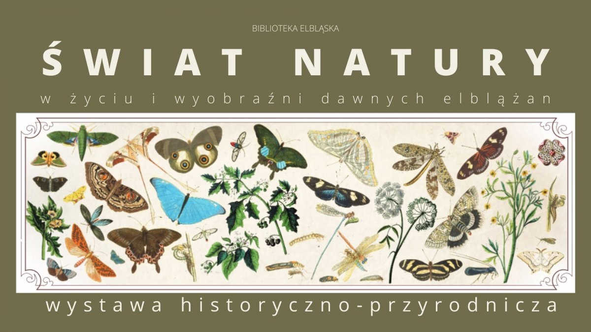 Świat natury w życiu i wyobraźni dawnych elblążan: otwarcie wystawy