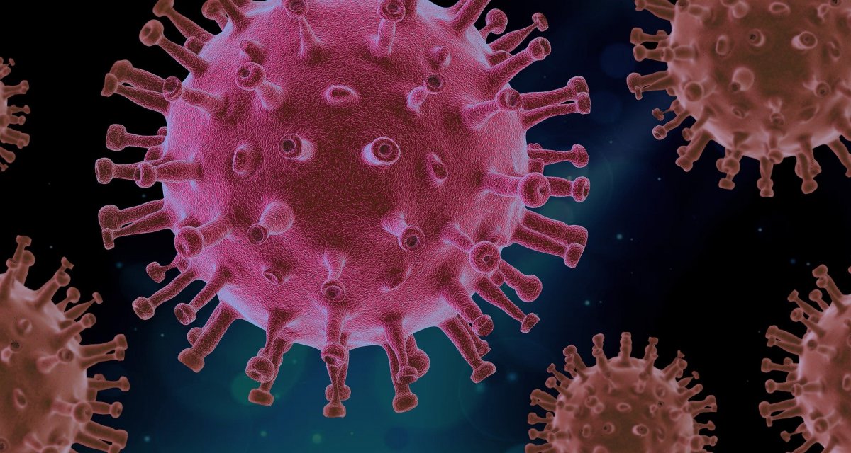 Koronawirus: ile zakażeń po weekendzie?