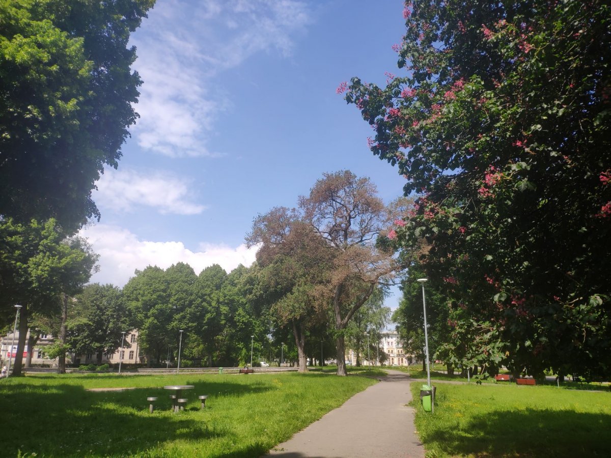 Trzy elbląskie parki zyskają nowe oblicze