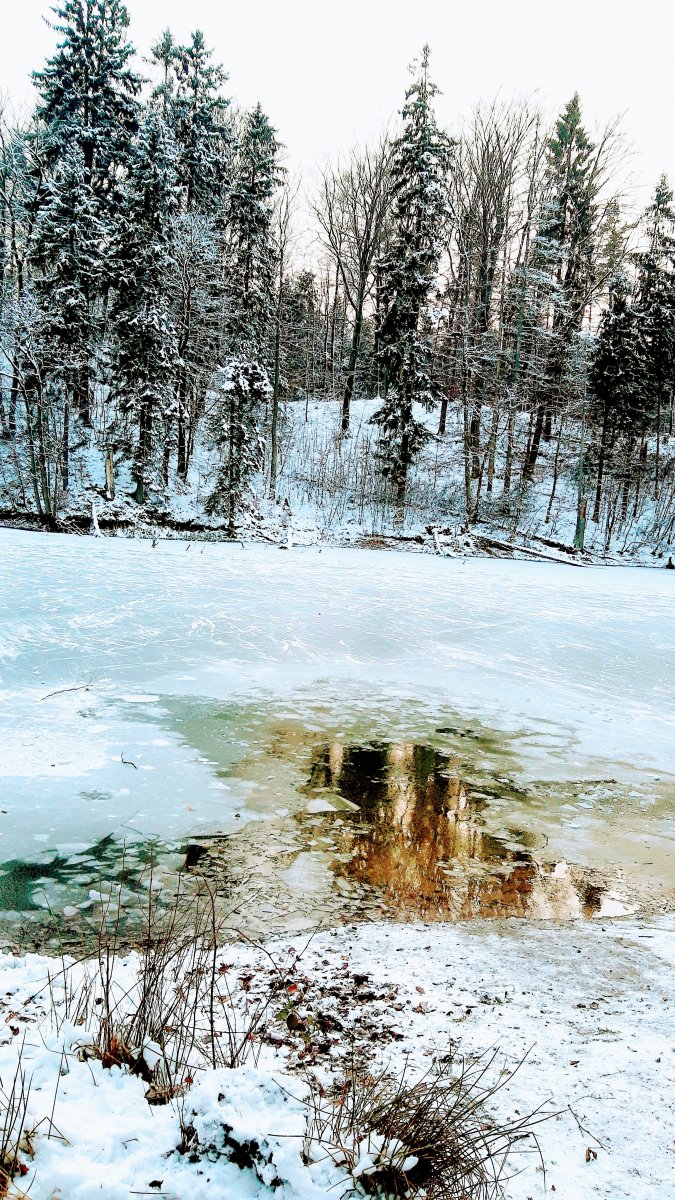 Prenumerata za zdjęcie: Jelenia Dolina