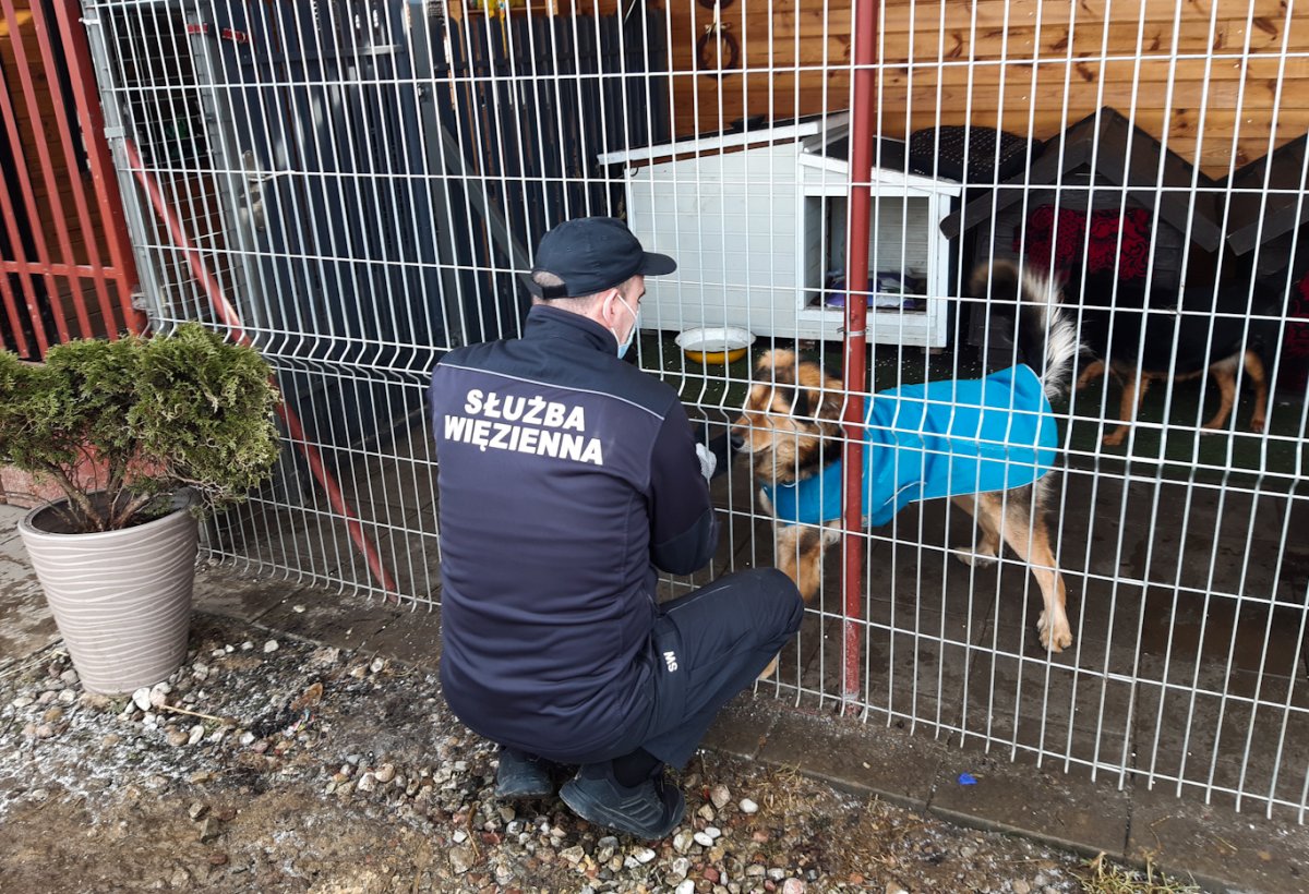 Służba Więzienna wsparła „Psi Raj” [ZDJĘCIA]