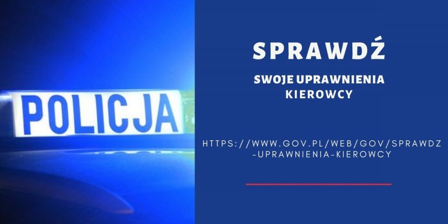 Sprawdź uprawnienia kierowcy na stronie gov.pl