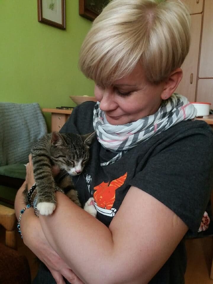 Z kotami jest jak z chipsami, na jednym się nie kończy [ROZMOWA]