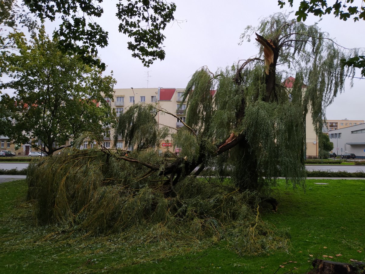 Strażacy interweniowali 20 razy
