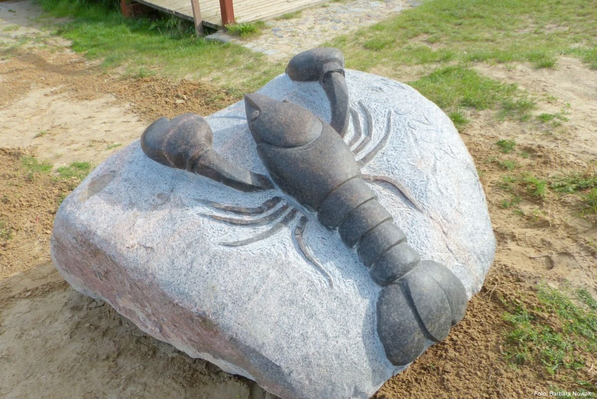 Kamienny rak na plaży w Pasłęku [ZDJĘCIA]