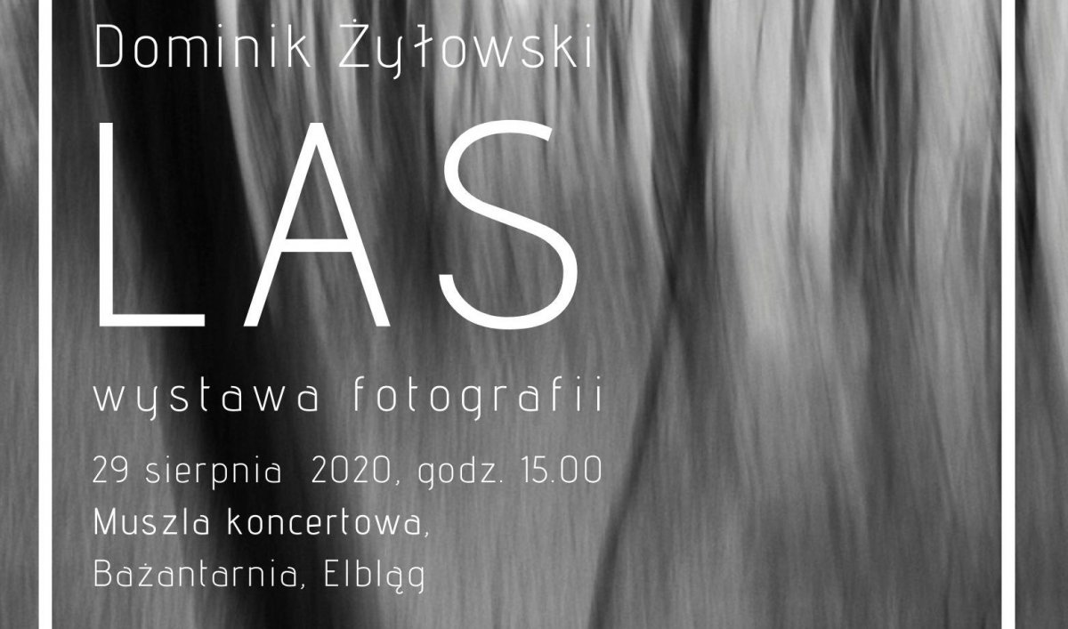 Wystawa fotografii w muszli koncertowej