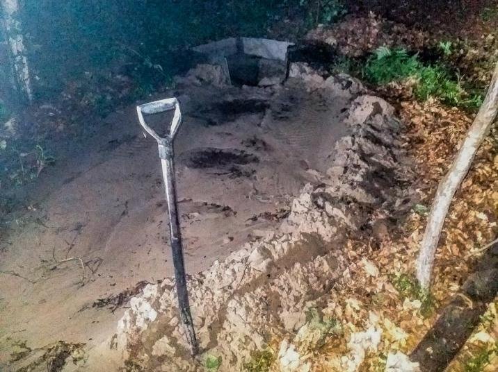 Szukali bursztynu na Mierzei, zniszczyli las