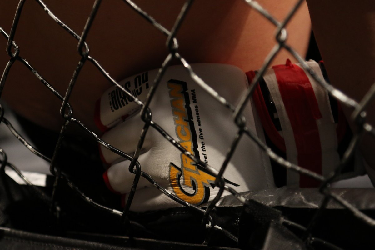 Puchar Mierzei Wiślanej amatorskiej ligi MMA w Stegnie
