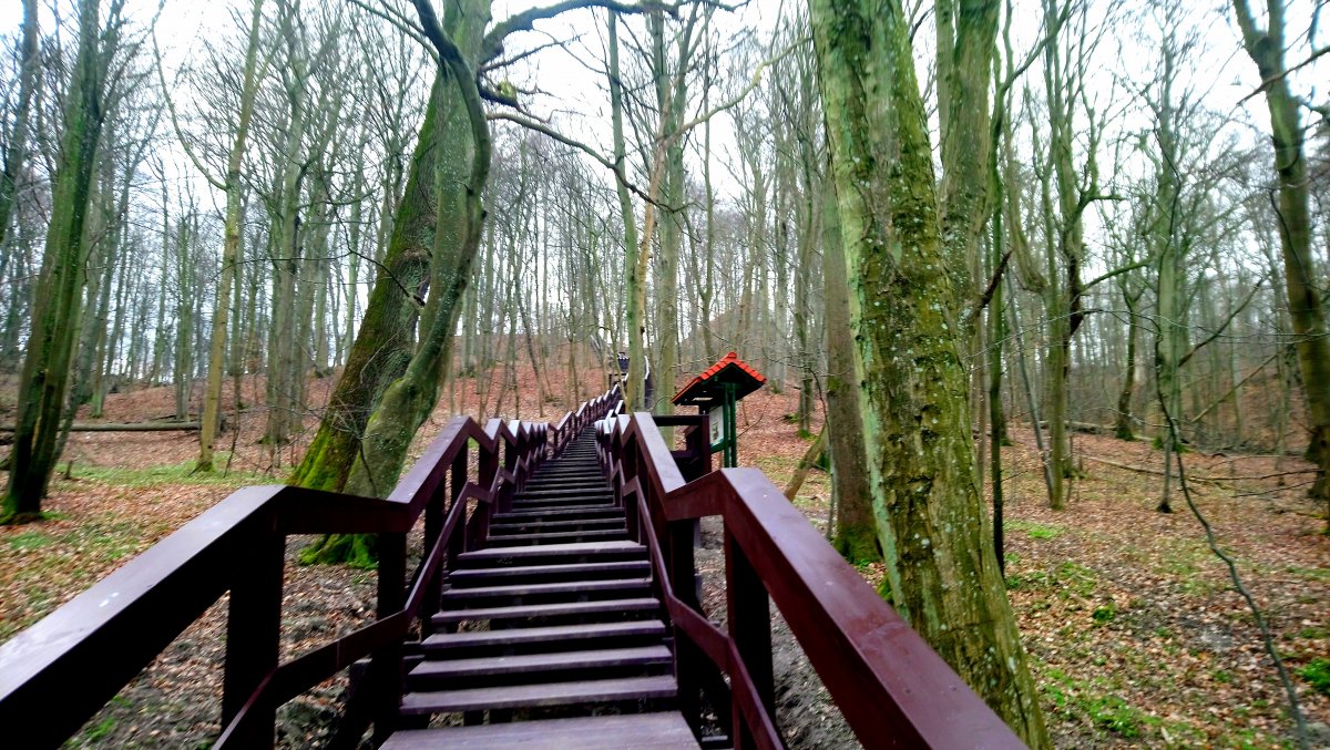 Okolice Elbląga idealne na majówkę