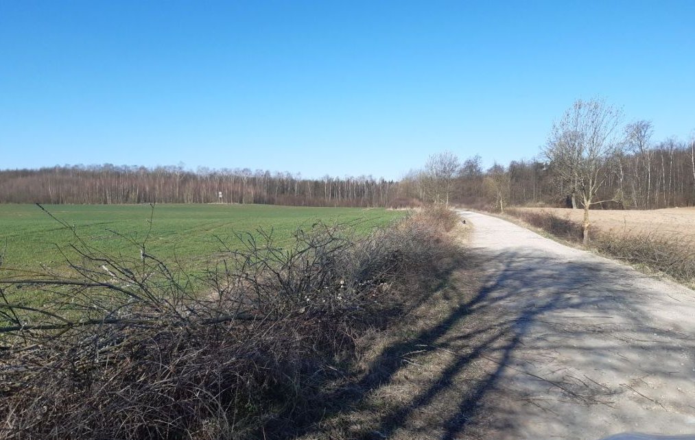 Niektóre drogi w gminie Rychliki już naprawione. Prace trwają