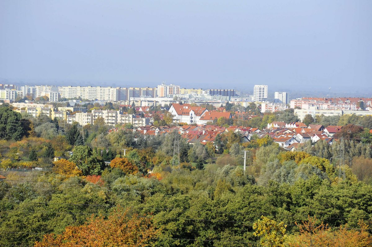 Każda para rąk się przyda