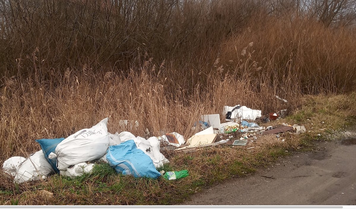 Straż Miejska: Akcja 