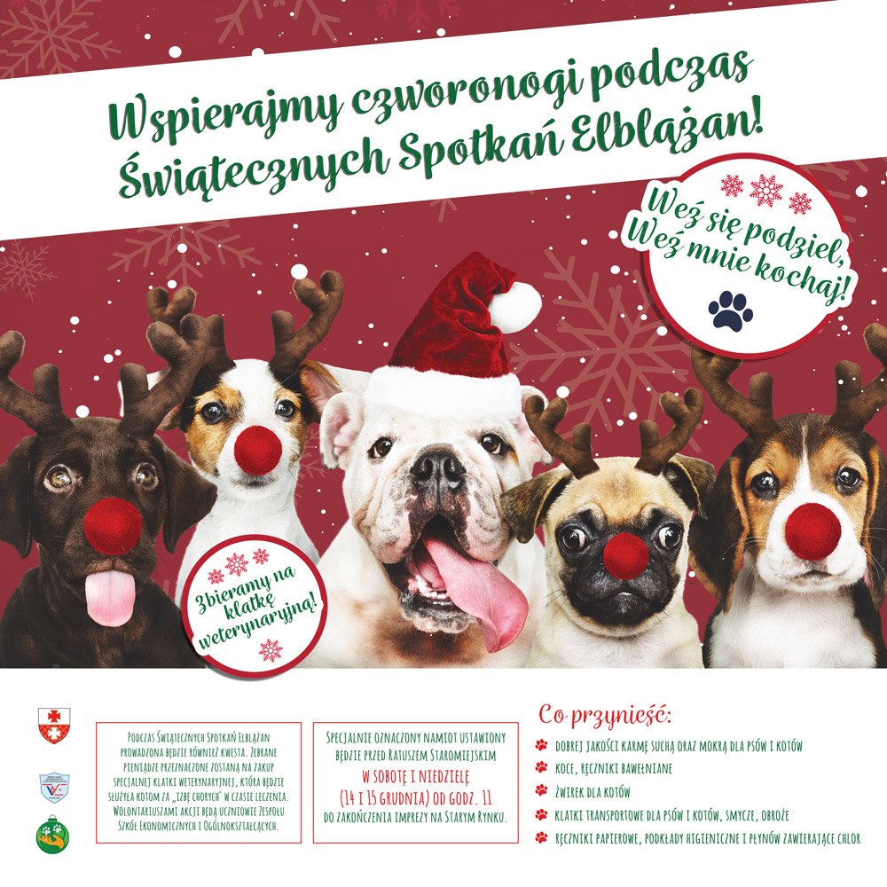 Wspierajmy elbląskie czworonogi podczas Świątecznych Spotkań Elblążan