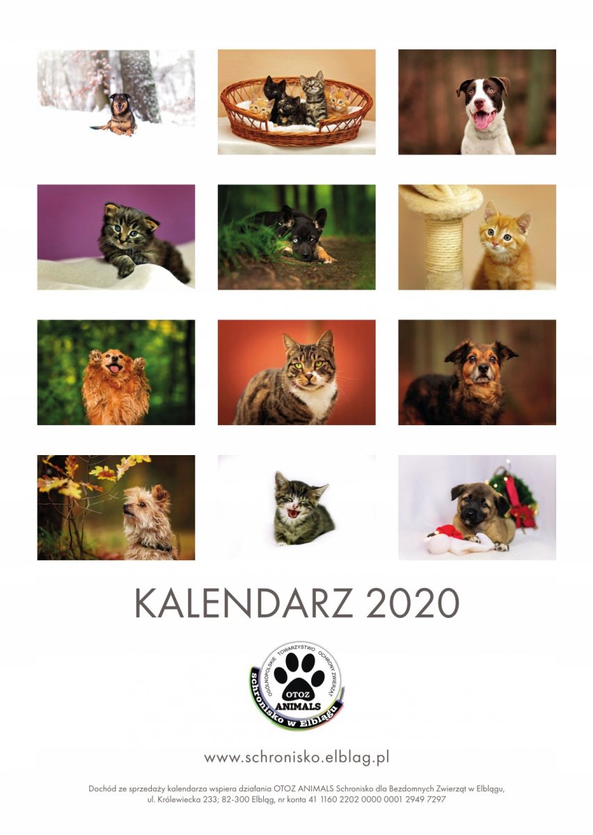 Czas na nowy kalendarz!