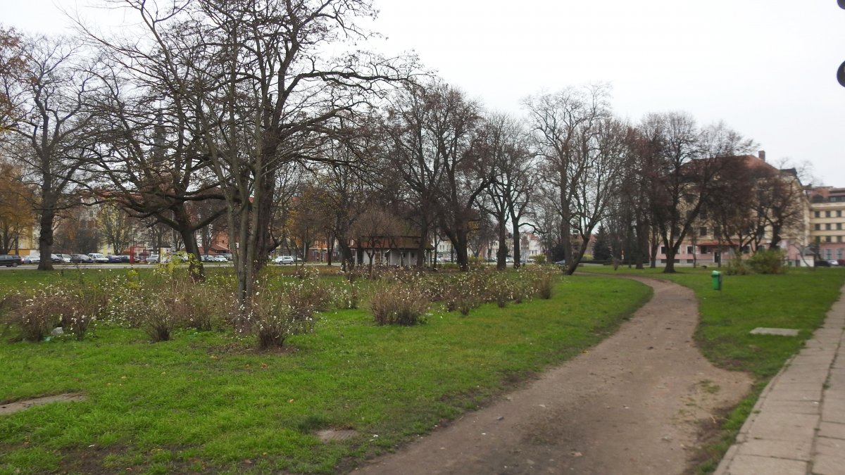 Tu będzie jaśniej