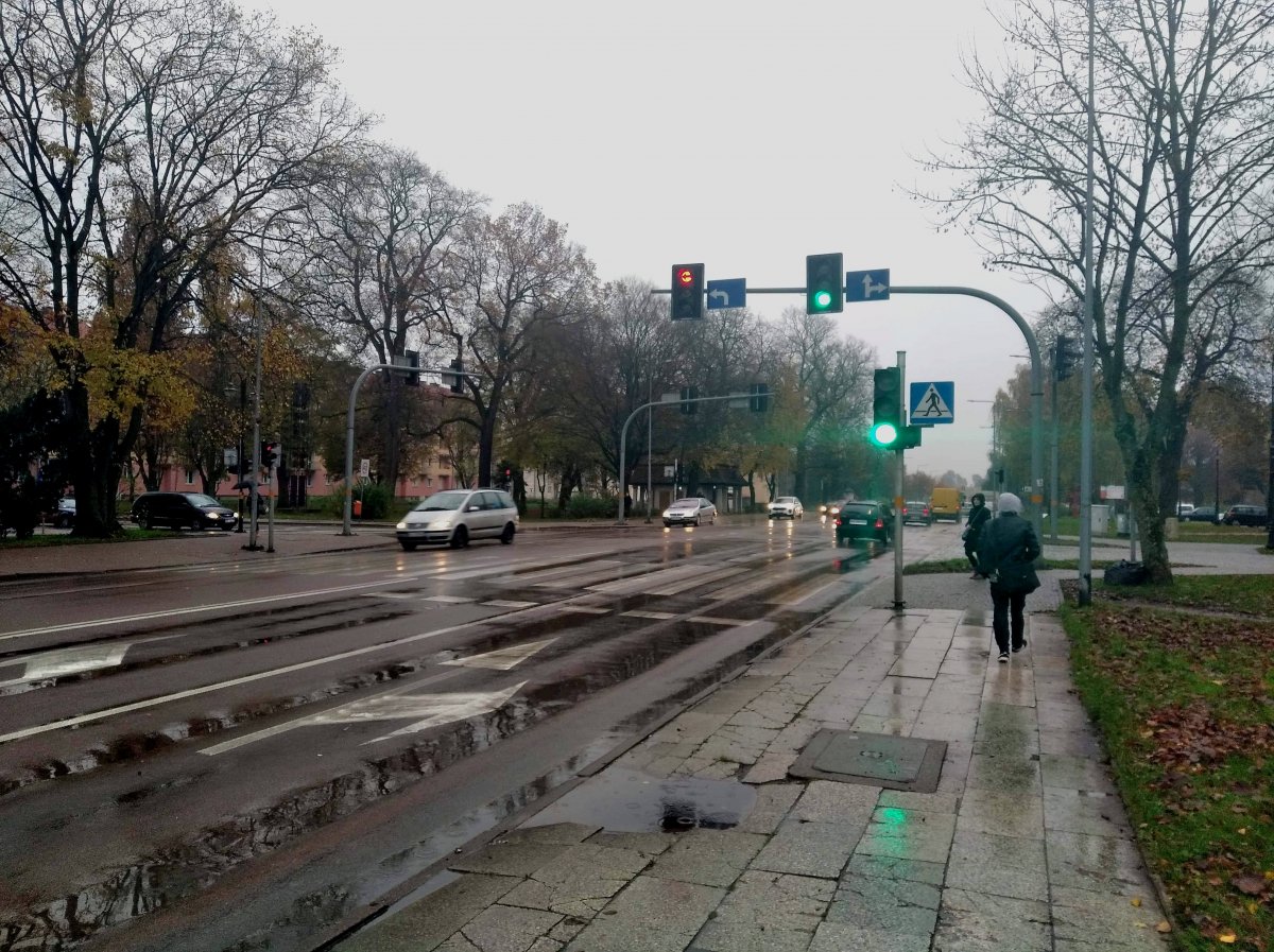 Kto zajmie się sygnalizacją świetlną w Elblągu?