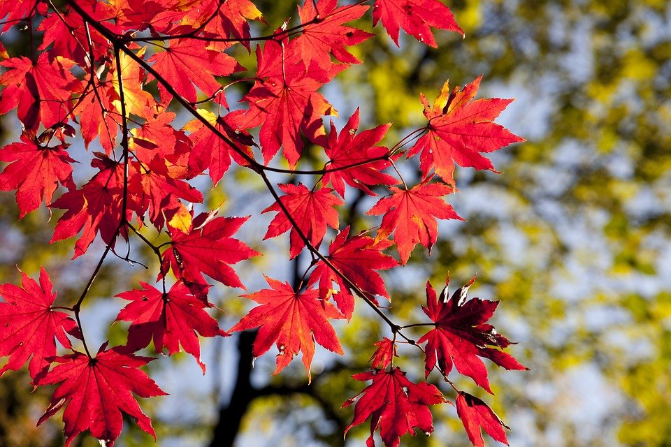 Październik dla seniorów
