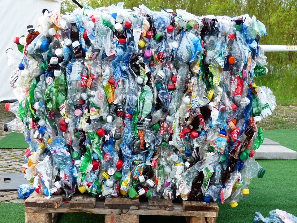 Walczą z plastikiem nie tylko w elbląskim urzędzie