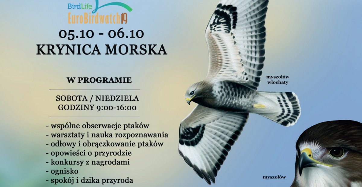 Weekend wśród ptaków