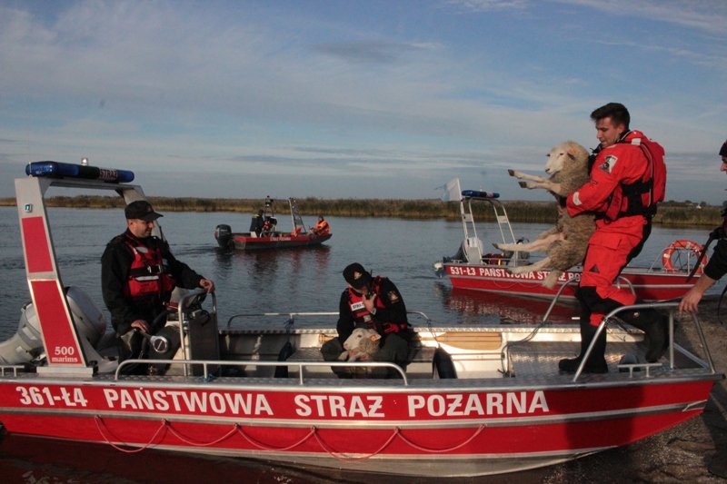 Zalew 2019: na wodzie strażacy są niezawodni [ZDJĘCIA]