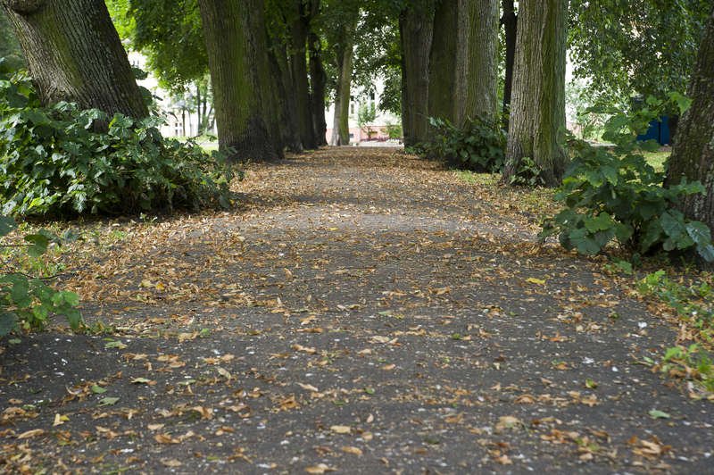 Już niedługo park Traugutta będzie jak nowy! [ZDJĘCIA]
