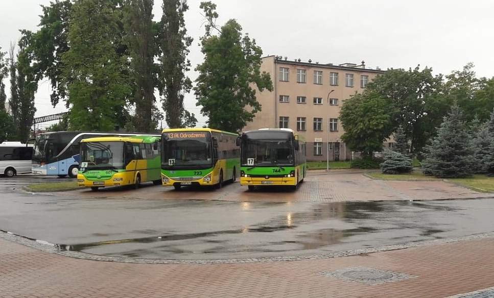 Stałe kursy autobusów wracają na miejskie linie


