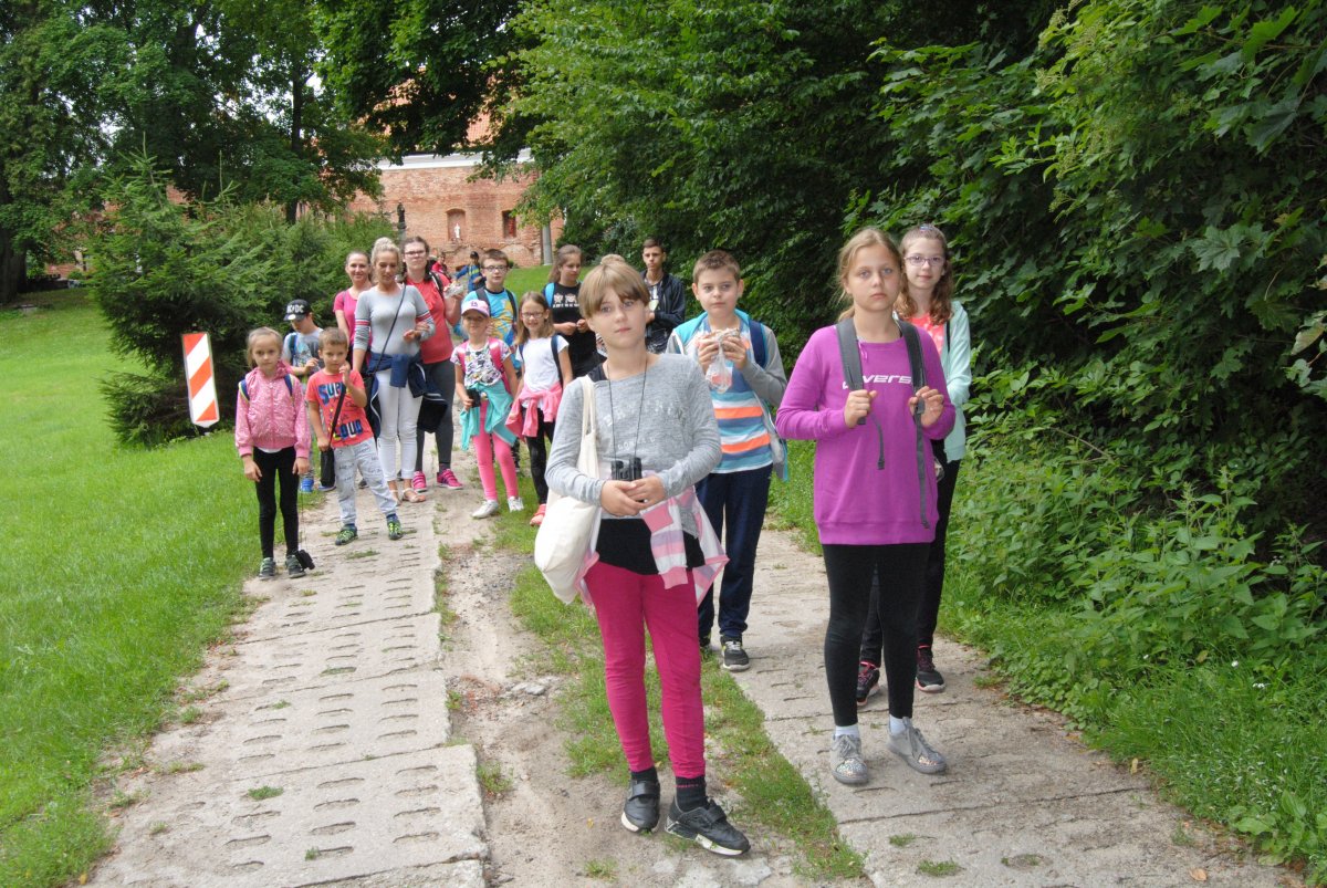 Wakacje w mieście - półkolonia integracyjna 2019