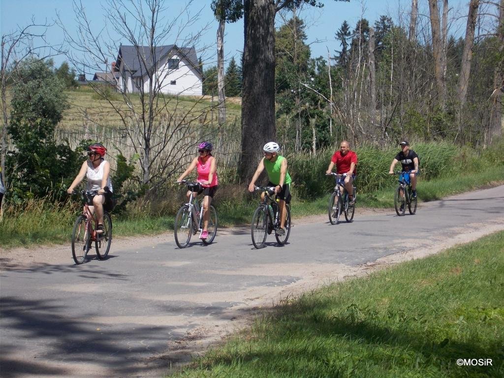 Rowerami przez lipową aleję