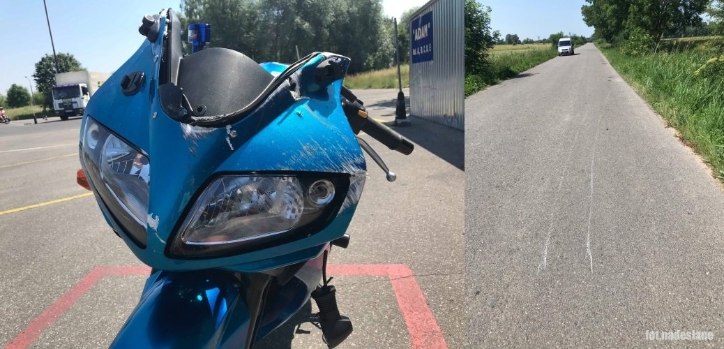 Dzik wtargnął na drogę, motocyklistka wylądowała w szpitalu

