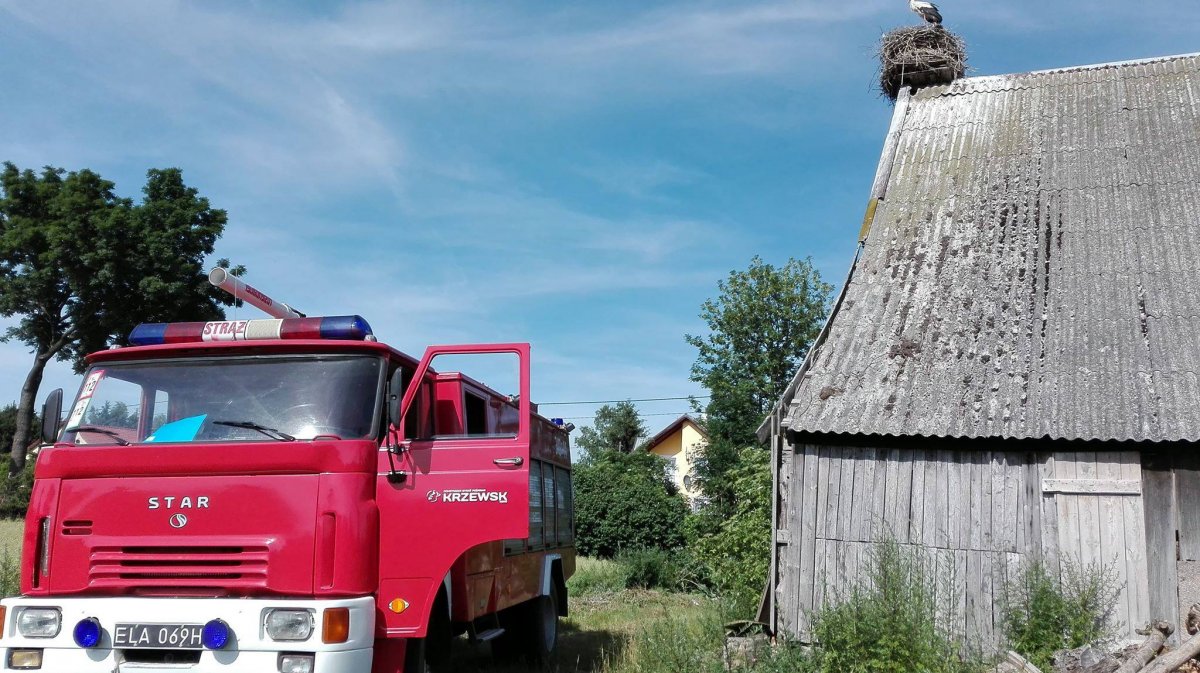 Druhowie z Krzewska ruszyli na pomoc modemu bocianowi
