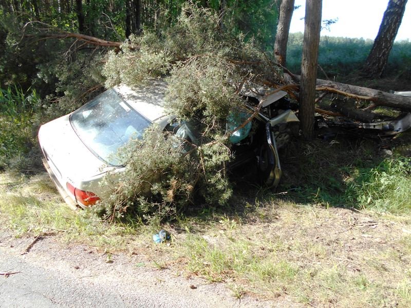 Stracił panowanie i uderzył w drzewo