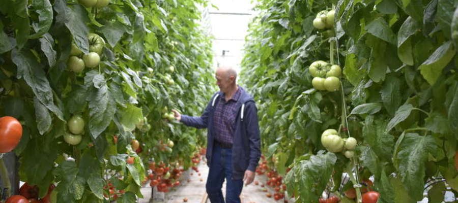 Wyniki Konkursu Gospodarstwa Ogrodniczego BaJo
