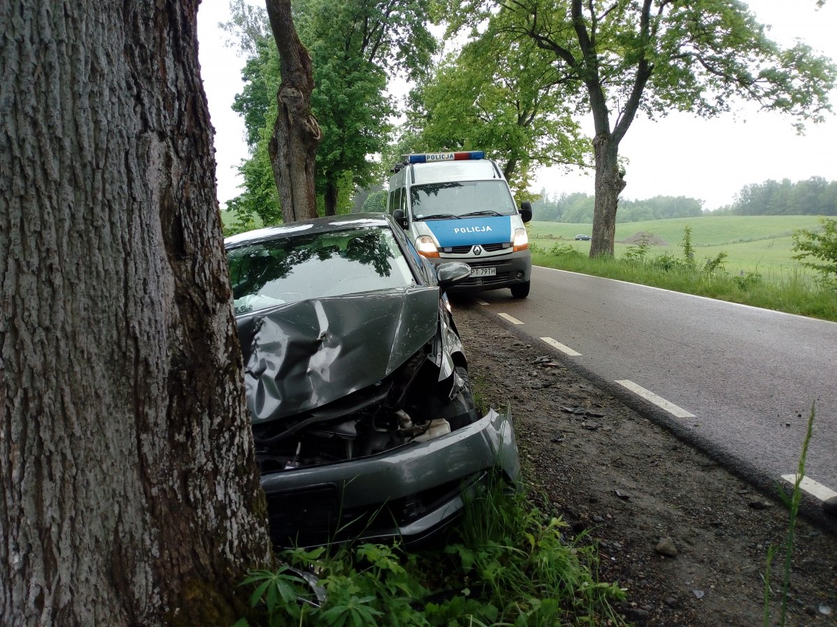 Nie chciał uderzyć w auto, trafił na drzewo [ZDJĘCIA]