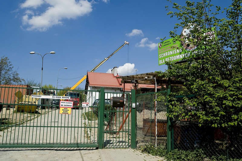 Nie brakuje porzuconych zwierząt, ale i chętnych do ich adopcji [zdjęcia]