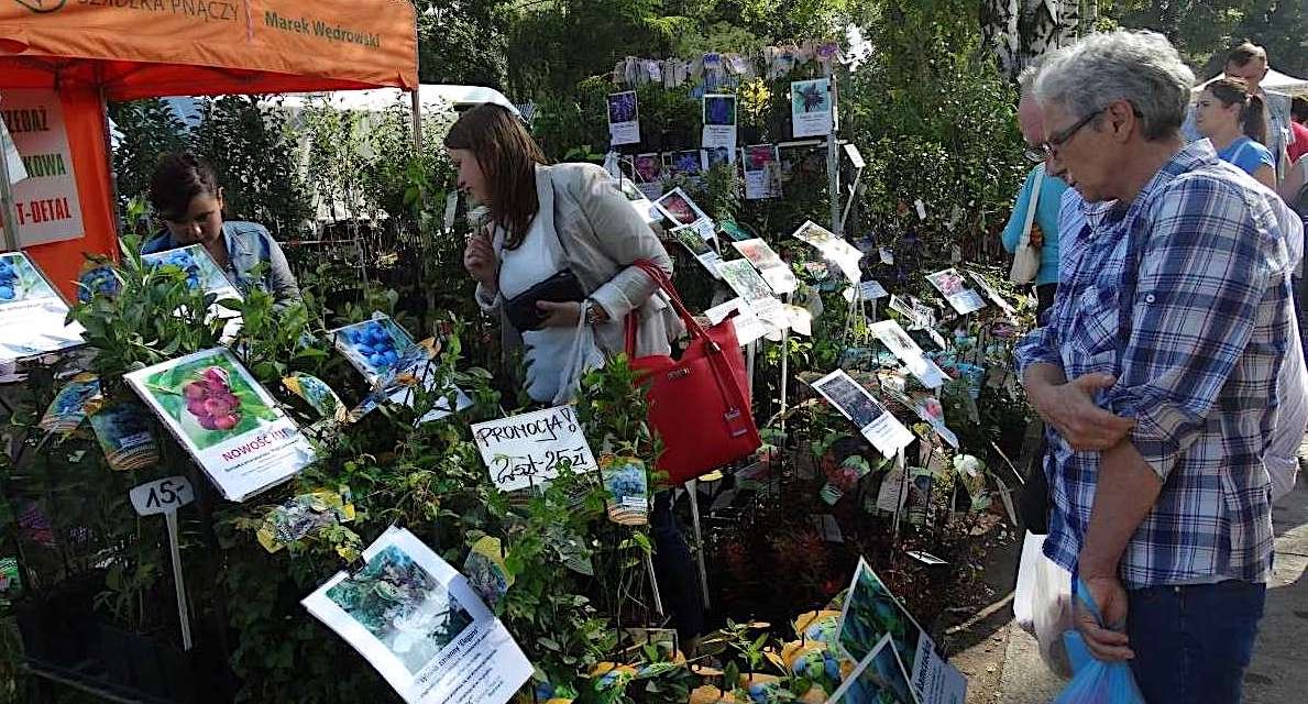 Targi w Starym Polu już w ten weekend. Ponad 300 wystawców, tysiące gości