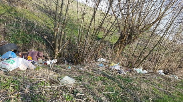 Elbląg i Pasłęk: świąteczne porządki kosztem środowiska