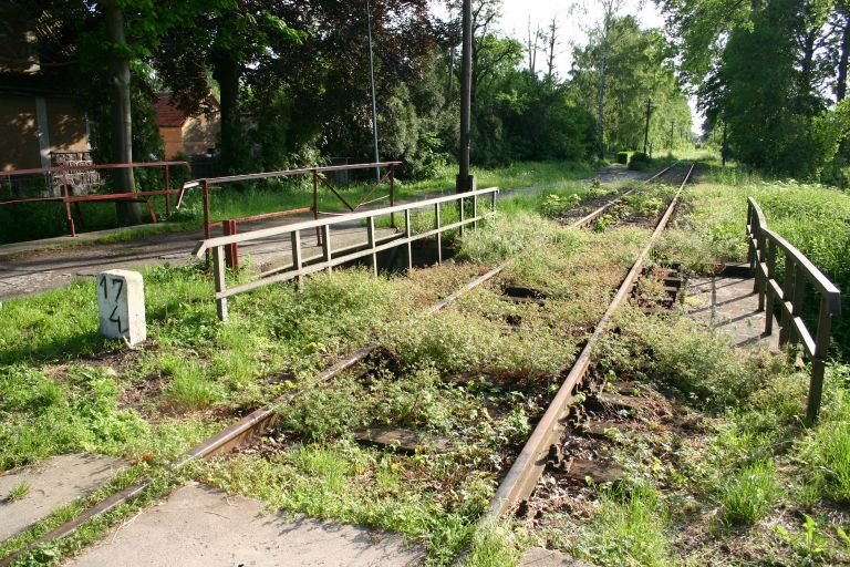 Elbląscy radni będą rozmawiać o przyszłości Kolei Nadzalewowej na najbliższej sesji 