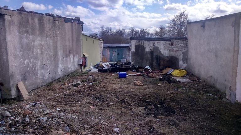 Zakończyła się akcja Posesja. Aż 48 miejsc w Elblągu wymaga gruntownego sprzątania