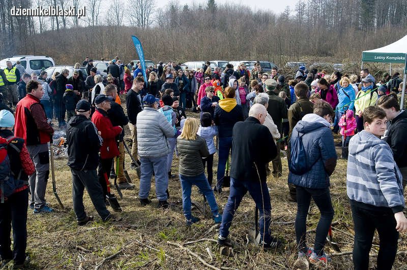 Sadzili las, żeby było gdzie biwakować [zdjęcia]