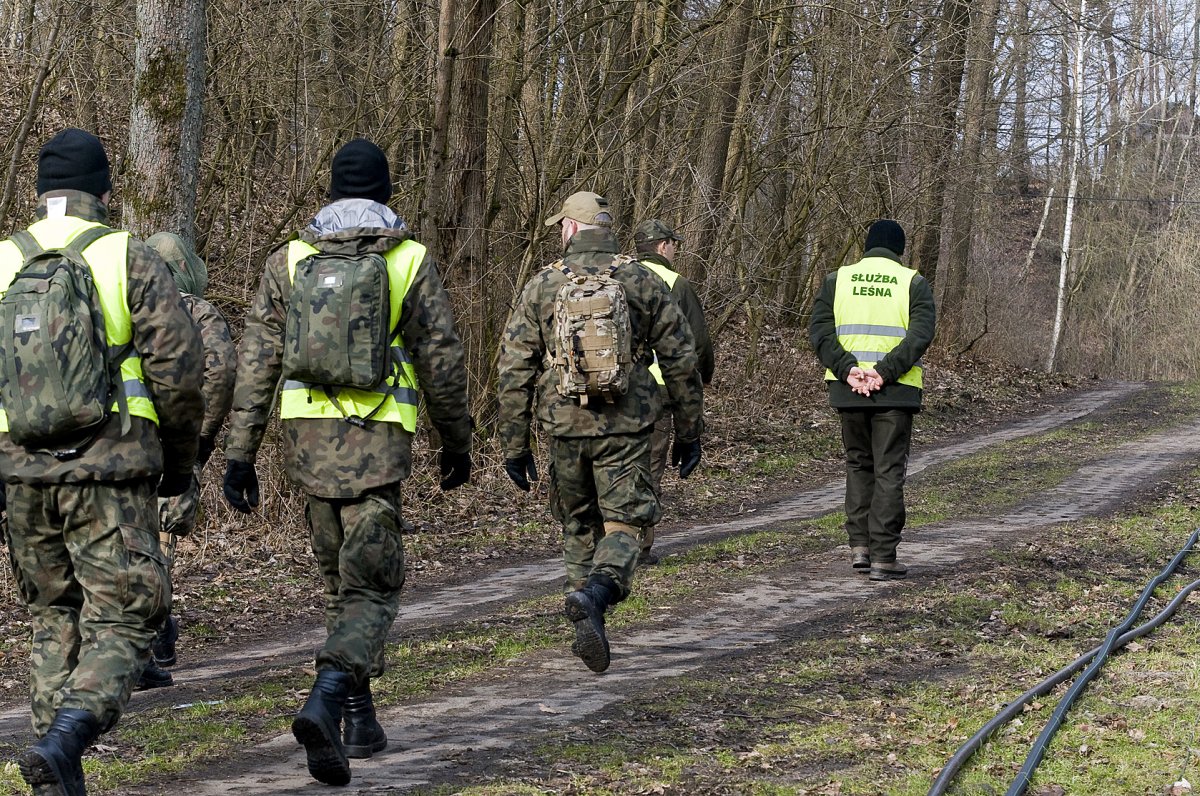 Szukali kolejnych martwych dzików chorych na ASF [zdjęcia]