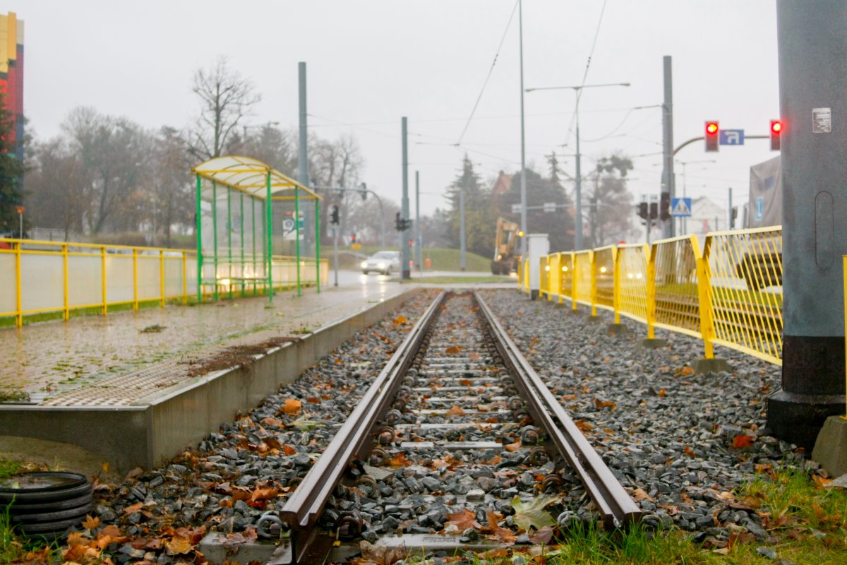 Gapowicze z Elbląga. Ich dług to ponad 480 tysięcy złotych