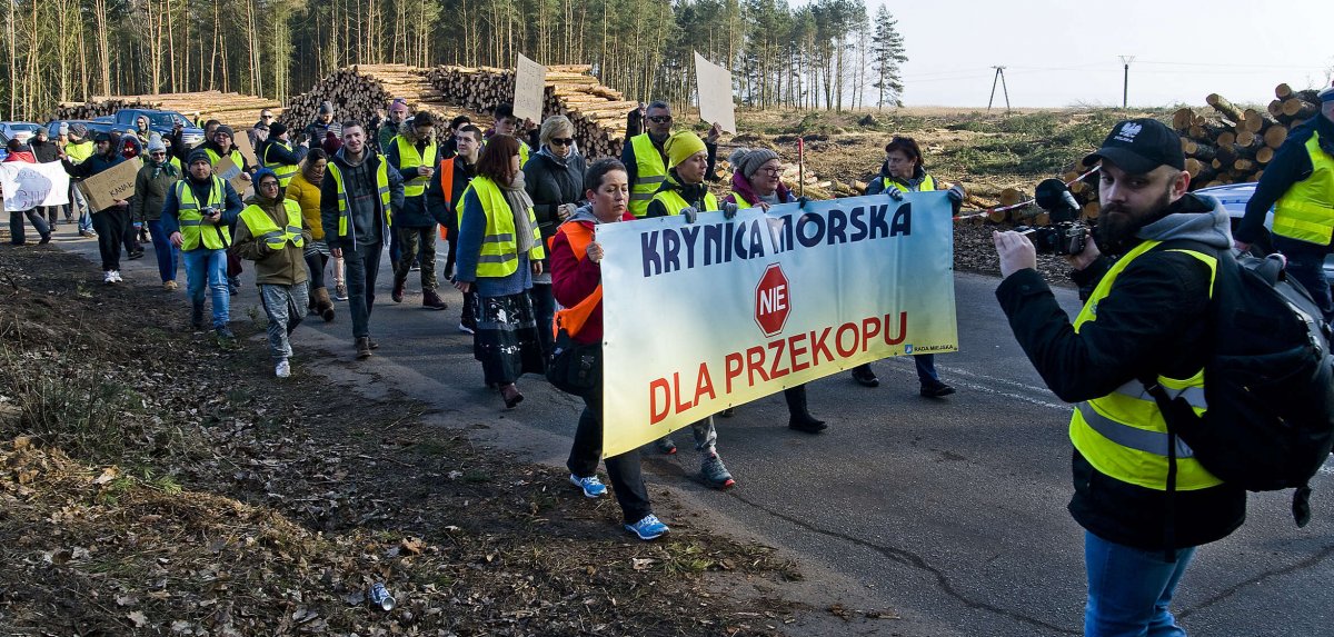 Na Mierzei tną drzewa pod przekop. Komisja Europejska chce wyjaśnień [zdjęcia]
