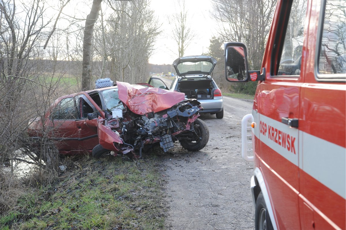 Omijał gałęzie, uderzył w drzewo. Z miejsca wypadku trafił do policyjnej celi [zdjęcia]