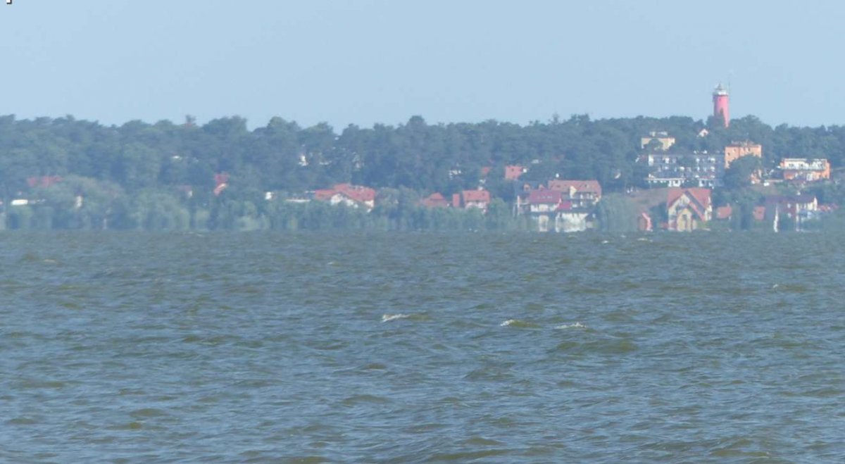 Wypłynął na Zalew Wiślany... Dramatyczne wezwanie, do akcji ruszyli płetwonurkowie z Elbląga