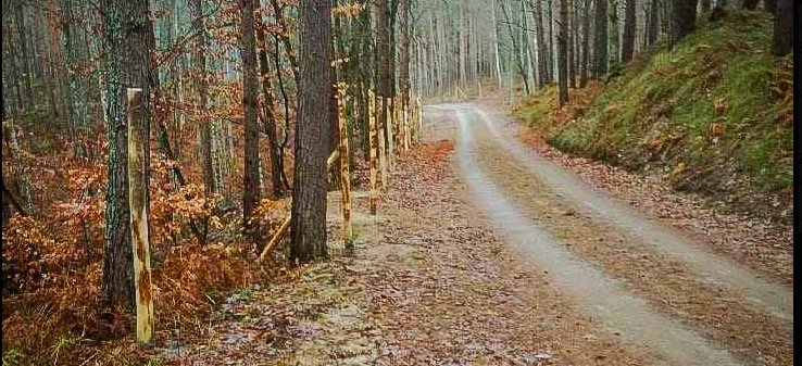 Przekop Mierzei Wiślanej. Budują płot, do akcji wejdą saperzy 