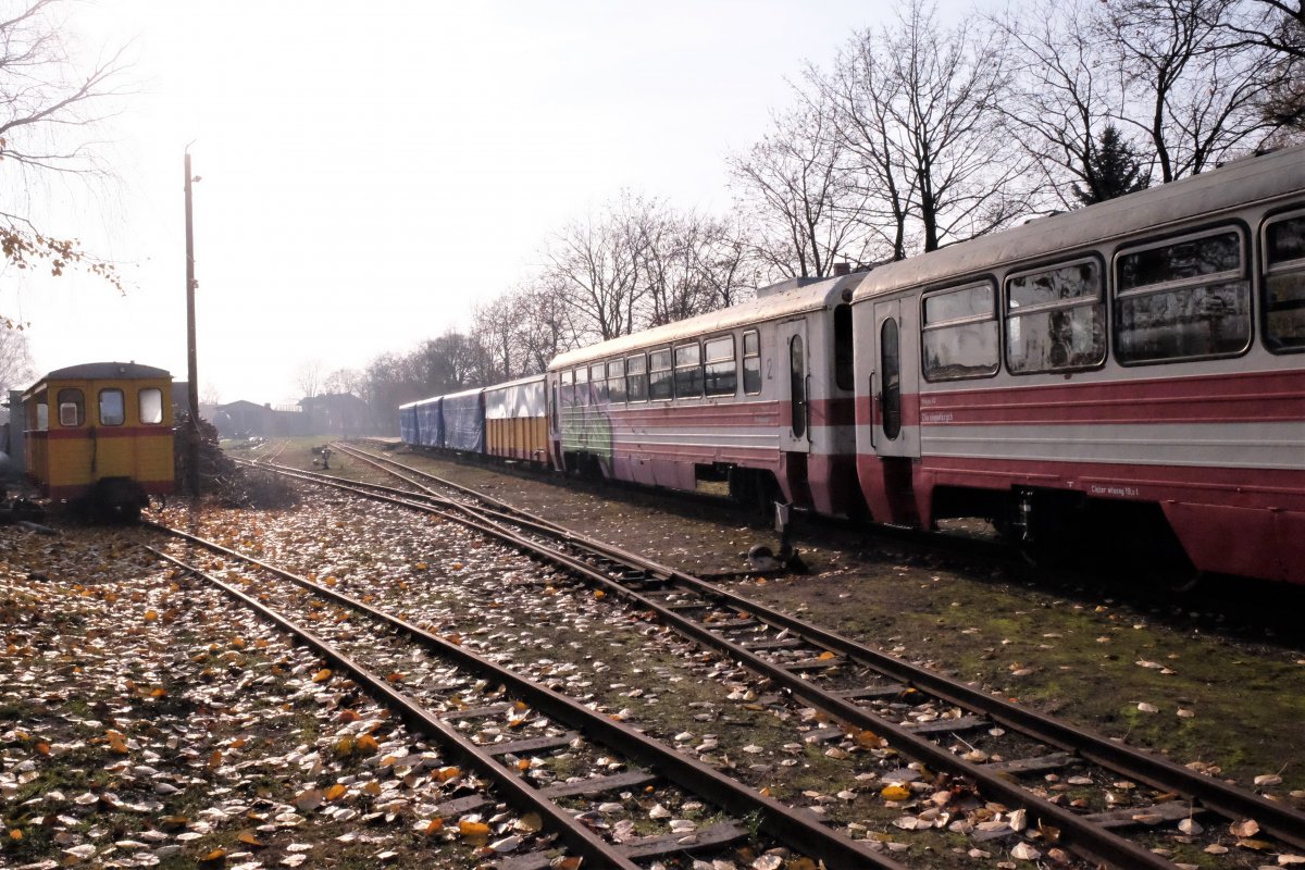 Kolej wąskotorowa na Żuławach nabierze rozpędu? Są pierwsze pieniądze na ten cel