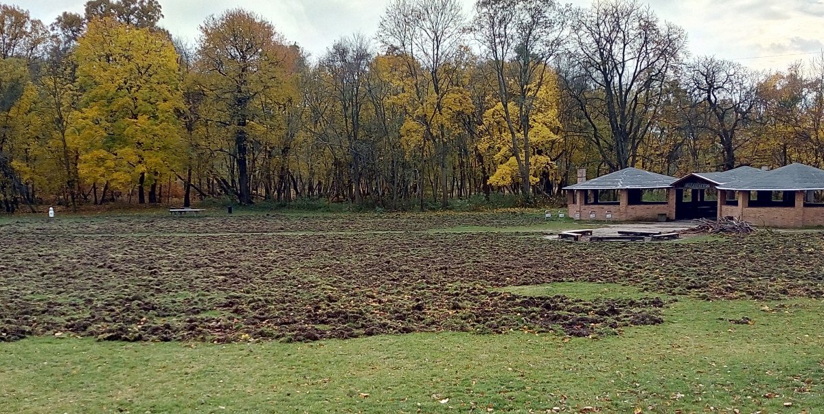 Wspomnienia z dozą humoru