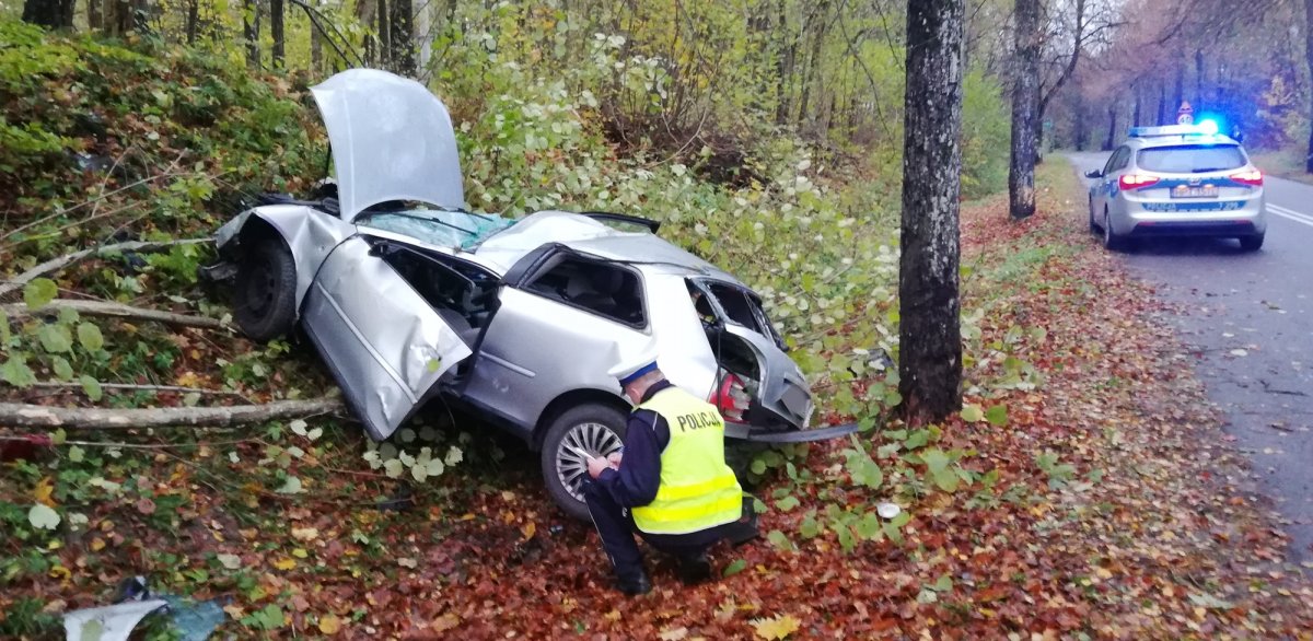 Zwierzę wyskoczyło na drogę... Wypadek przed Łęczem, dwie osoby w szpitalu [zdjęcia]