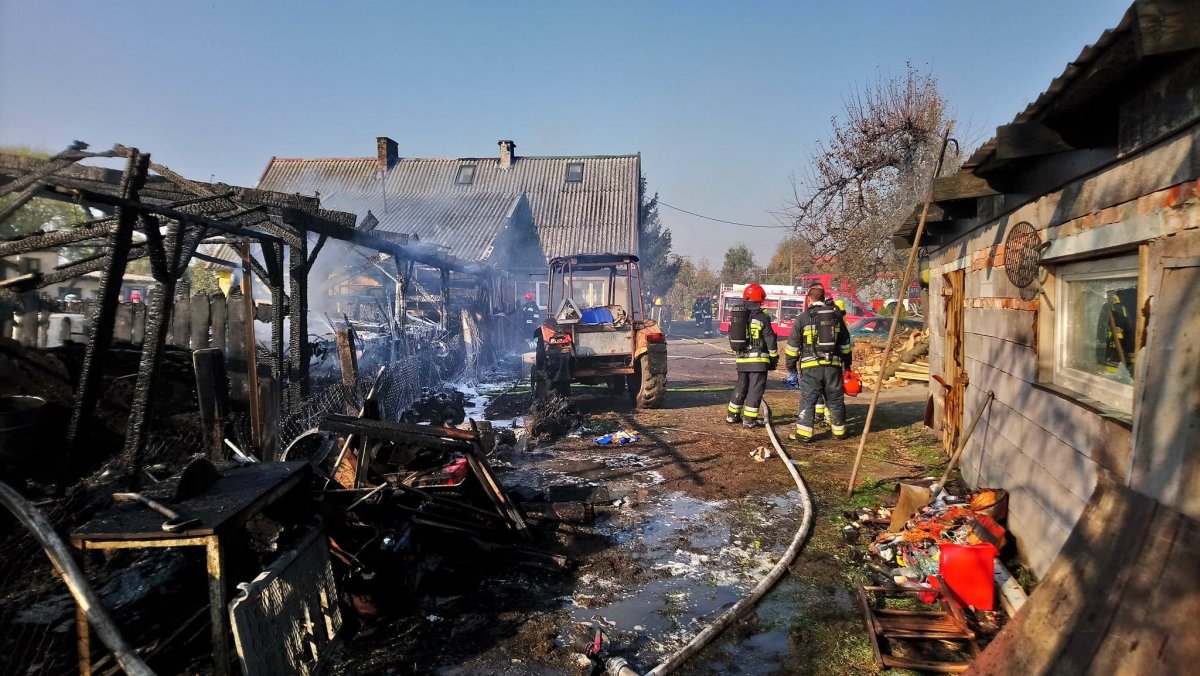 Pożar auta i wiaty w Jegłowniku. Zagrożony był budynek mieszkalny [zdjęcia]
